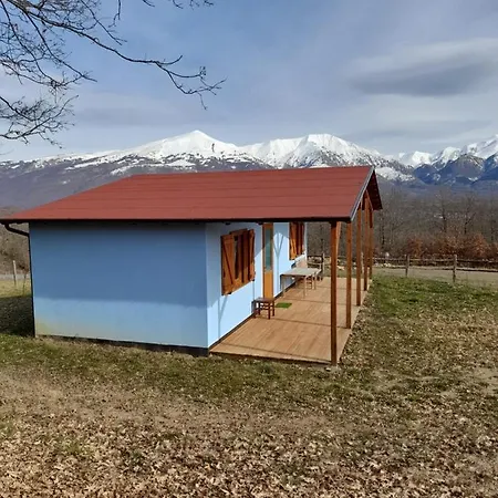 D'apostolo Amatrice