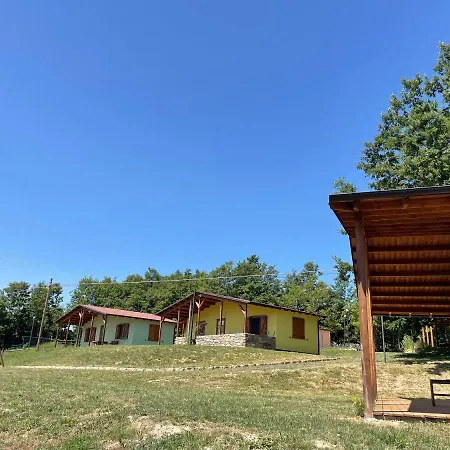D'apostolo * Amatrice