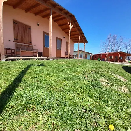 D'apostolo Amatrice