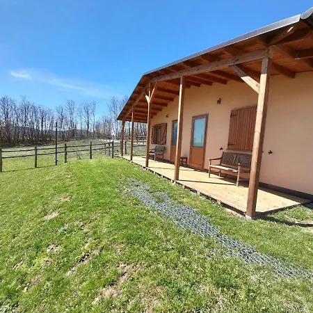 D'apostolo * Amatrice